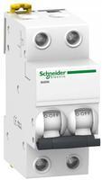 Автоматический выключатель Schneider Electric iK60 2P 10A C 6кА A9K24210